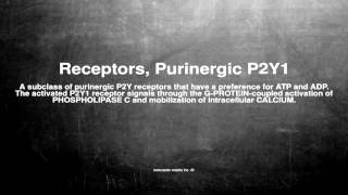 Medical vocabulary What does Receptors Purinergic P2Y1 mean [upl. by Gemoets]