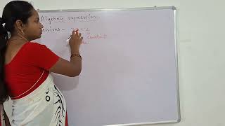 What are monomial binomial polynomials [upl. by Etnecniv700]