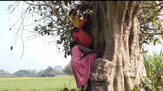 Veggie paaji  Vegetable food  Veg food hunt nepal  nepali village life  best Village Life [upl. by Bengt636]