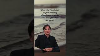 YOU When the Narcissist Says Something Offensive to Provoke You baiting narcissist npdabuse [upl. by Nerred]