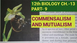 Class 12 biology chapter 12 part 9Commensalism amp mutualismStudy with Farru [upl. by Ludwog]