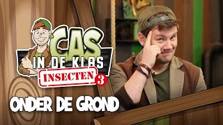 Insecten onder de grond 🐜  Leren met Cas in de Klas  Kinderpretpark Julianatoren [upl. by Odlabu]