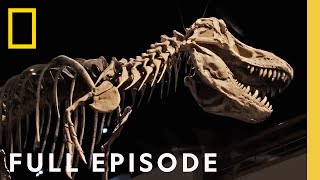 Secrets of the Dinosaurs The Real Jurassic Americas Full Episode  Drain the Oceans [upl. by Sakmar]