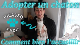 ADOPTER UN CHATON  COMMENT BIEN LACCUEILLIR [upl. by Eetnahc199]