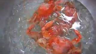 How to Boil Blue Crabs [upl. by Gregorio]