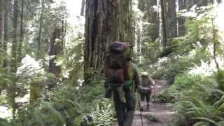 FitPacking Redwood National Park 2013 [upl. by Abernon809]