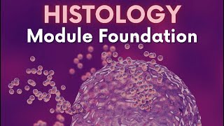 Epithelium 2  Foundation  Dr Nada [upl. by Buffo]