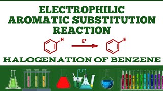 Electrophilic Aromatic Substitution Reaction Halogenation of benzene [upl. by Sinai714]