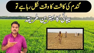 The best method for wheat seed sowing  Dry sowing drill method for wheat seed  Abid Ali Agrarian [upl. by Akerdnuhs554]