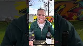 Bacchus Bruce 2019 Vinhas de Xisto Reserva Ravasqueira Winery Alentejo Portugal Wine Tasting [upl. by Nuhsar]