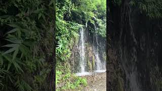 Beautiful waterfall near Kotabagh trending viralvideo shorts [upl. by Keelia]