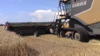 CLAAS Lexion 760TT Combine Harvesting Wheat [upl. by Ier]