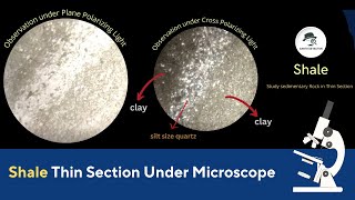 Shale Thin Section under Microscope with optical Properties of Rocks [upl. by Stichter105]