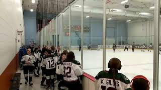 Kachinas 16U Red vs Dallas Stars [upl. by Eseer594]