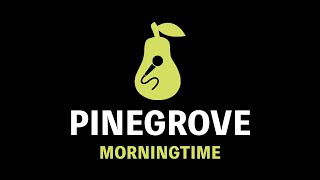 Pinegrove  Morningtime Karaoke [upl. by Haley]