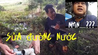 Chia sẻ công việc ở công ty của thợ đụng điểunhớvlog [upl. by Annij]