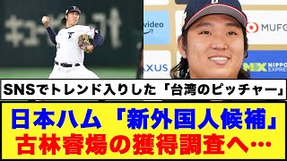 【先発補強候補】日本ハム「新外国人候補」古林睿煬の獲得調査へ… [upl. by Auqinu]