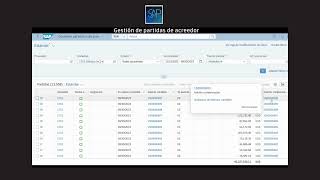 Visualización de saldos de acreedor  SAP S4 Hana FIori [upl. by Oecam]