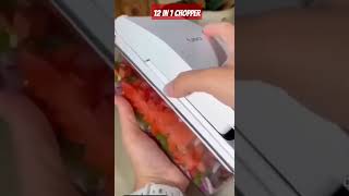 12 in 1 Chpper Chopper trending gadgets usefuhacks Hacks trending viral unique [upl. by Aianat]