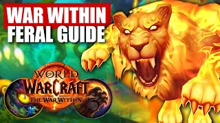 110 War Within Feral Druid PvP Guide  Talents Rotation Tips and MORE [upl. by Stiles591]