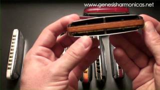 Harmonica Heroes 2 Randy Sandoval  Genesis Harmonicas [upl. by Rolyks]