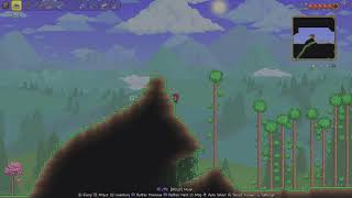 Terraria SDMG only part 1 [upl. by Donn]