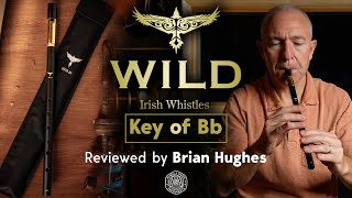 McNeela Wild Irish Whistle Bb reviewed by Brian Hughes [upl. by Enelram]