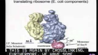 Mechanisms of Protein Translocation Across Membranes [upl. by Christoph]