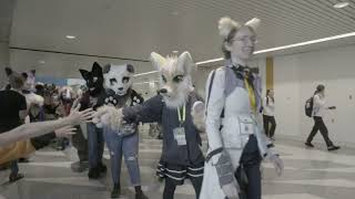 Further Confusion San Jose 2024 Fursuit Parade LIVE [upl. by Lebam]