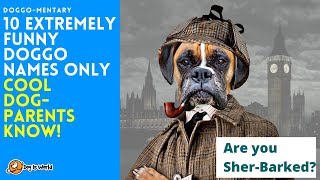 Funny Names for Dogs  Extremely Funny Dog Names  10 Funny Dog Names [upl. by Shamus]