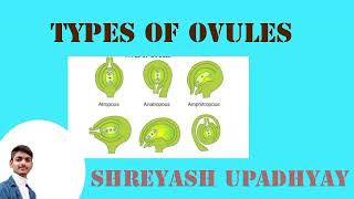 Types of ovules are coming soon I am making long video on channel BSc 2nd Year [upl. by Nelyt894]