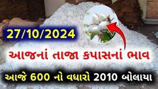 Kapas Na Bhav । 24102024 । કપાસ ના ભાવ  Information about cotton crop price  kapas no bhav [upl. by Taro655]