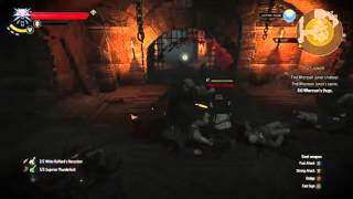 The Witcher 3  1v10  NG Death March  Axii Puppet [upl. by Hessler311]