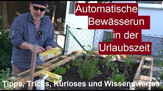 ✅Garten automatisch bewässern während der Urlaubszeit  Selbstbewässerung Pflanzen Gemüse im Urlaub [upl. by Animahs]