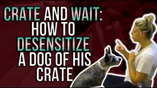 CRATE amp WAIT HOW TO DESENSITIZE A DOG OF THE CRATE [upl. by Lasky63]