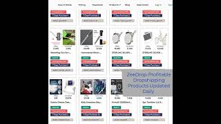 Top Dropshipping Products to Sell in 2025  Free Daily List [upl. by Htebazileharas]