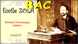 Émile Zola  Thérèse Raquin Analyse [upl. by Tomlin873]