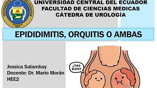 EPIDIDIMITIS Y ORQUITIS [upl. by Thadeus291]