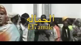 ewlad leblad el 7amale vidéo clip officiel 2021 2022 [upl. by Imailiv]