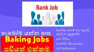 Top Banking Jobs in Sri Lanka Salary Career Path and Qualifications Explained [upl. by Heyward]