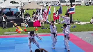 Kukkiwon Taekwondo Demonstration Team Sparring amp Pine board Breaking Techniques [upl. by Enelyak]