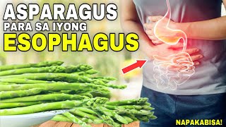 ASPARAGUS grabe pala sa ESOPHAGUS  Facts and Health Benefits of Asparagus [upl. by Aceber]