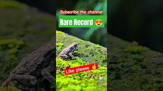 The FROG Eating  RARE RECORD viralvideo ytshorts tranding 1million youtubeshorts officalvideo [upl. by Anil]