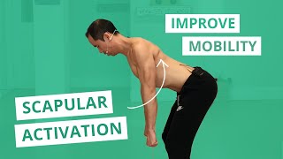 3Way Scap Circles Scapular Muscle Activation amp Mobility Exercises [upl. by Reaht266]