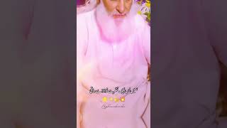 qawali automobile nfaklegendlines viralvideo shorts shortindia love allah nfak qalam 🌹🥀🔥🔥 [upl. by Clementia]