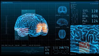 BCI Award 2023 Nomination  Memory enhancement through brain statedependent magnetic stimulation [upl. by Ahtelrac]