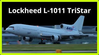 Lockheed L1011 TriStar  Great Landing  aerodynamic braking  2008 [upl. by Yelsiap151]