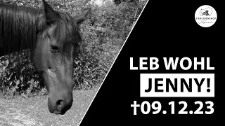 IN GEDENKEN AN PFERD JENNY  †091223 [upl. by Elleivad531]