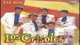 LOS CRISOLES De Nueva Cuenta [upl. by Deeanne]