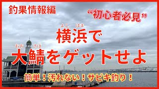 「みなとみらい ぷかり桟橋」横浜市内で大鯖が！？臨港パーク周辺！初心者でも簡単サビキ釣りで大サバを釣る方法、釣り場情報！ファミリー・カップルで釣りを楽しもう！9月。仕掛けはダイソーで揃います！ [upl. by Amari]